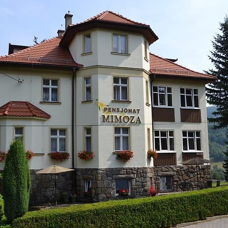 鹏斯吉纳特米默兹酒店 Świeradów-Zdrój 外观 照片
