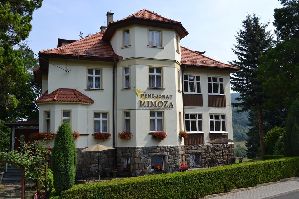 鹏斯吉纳特米默兹酒店 Świeradów-Zdrój 外观 照片
