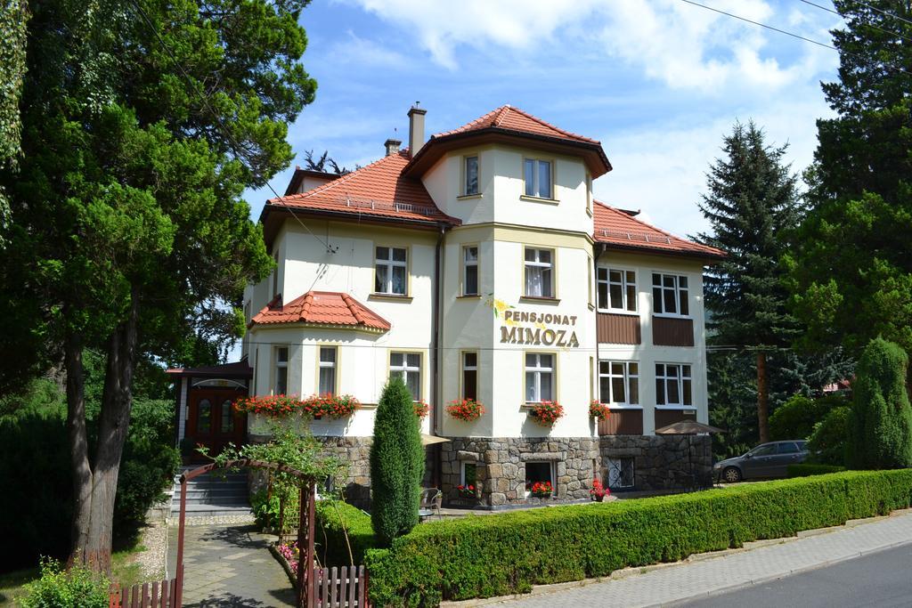 鹏斯吉纳特米默兹酒店 Świeradów-Zdrój 外观 照片
