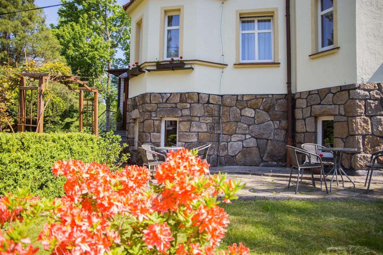 鹏斯吉纳特米默兹酒店 Świeradów-Zdrój 外观 照片